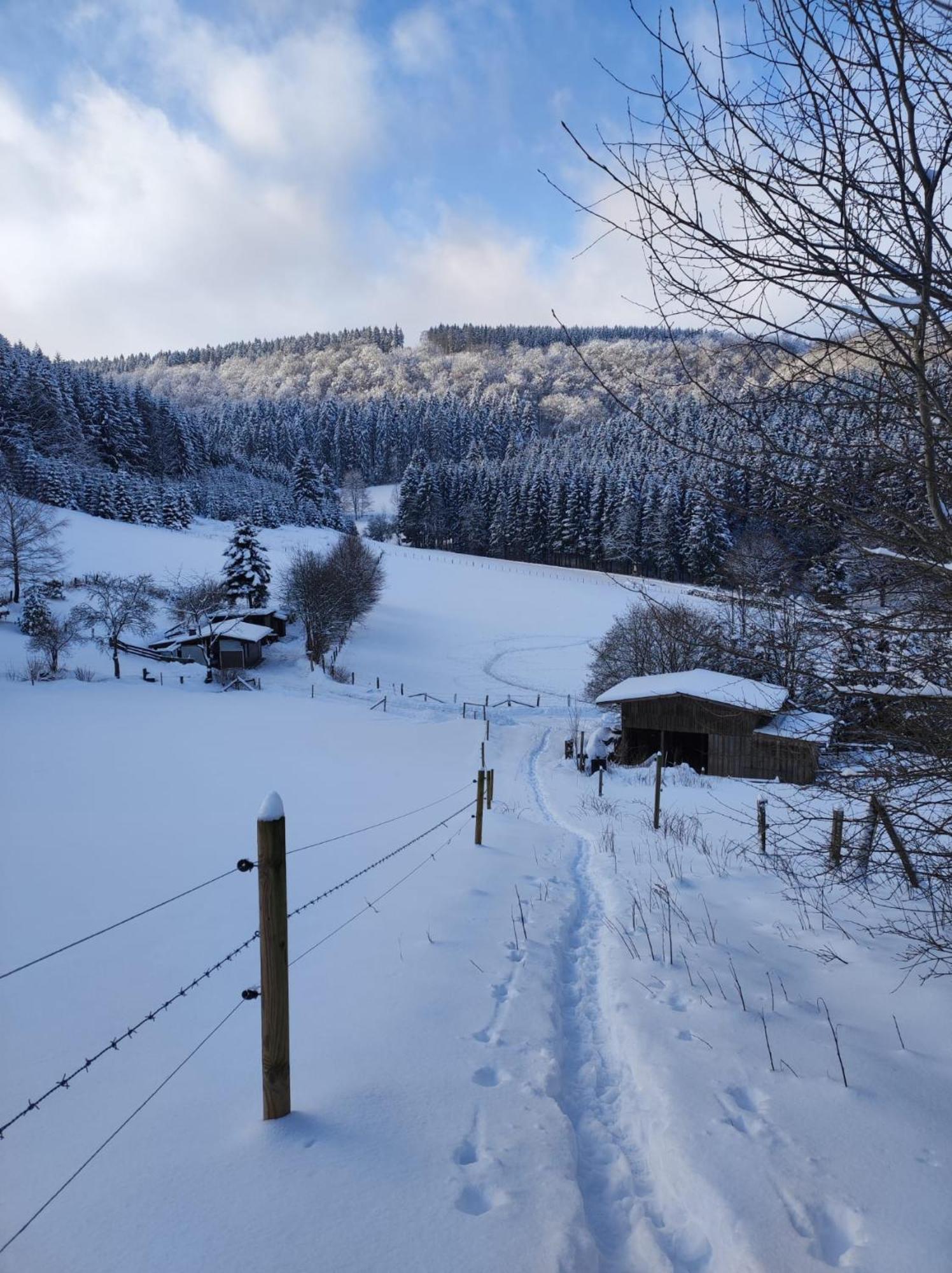 Ferienwohnung Finkeldei Winterberg Eksteriør bilde